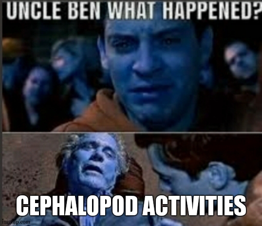 C E P H A L O P O D A C T I V I T I E S | CEPHALOPOD ACTIVITIES | image tagged in uncle ben what happened | made w/ Imgflip meme maker