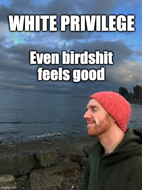 Happy Hipster with Birdshit on his face | WHITE PRIVILEGE; Even birdshit feels good | image tagged in happy birdshi,hipster,bird,poop,beach | made w/ Imgflip meme maker