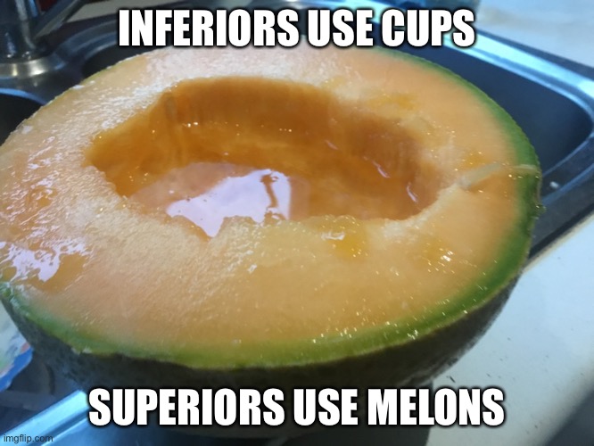 Lol | INFERIORS USE CUPS; SUPERIORS USE MELONS | image tagged in melons | made w/ Imgflip meme maker