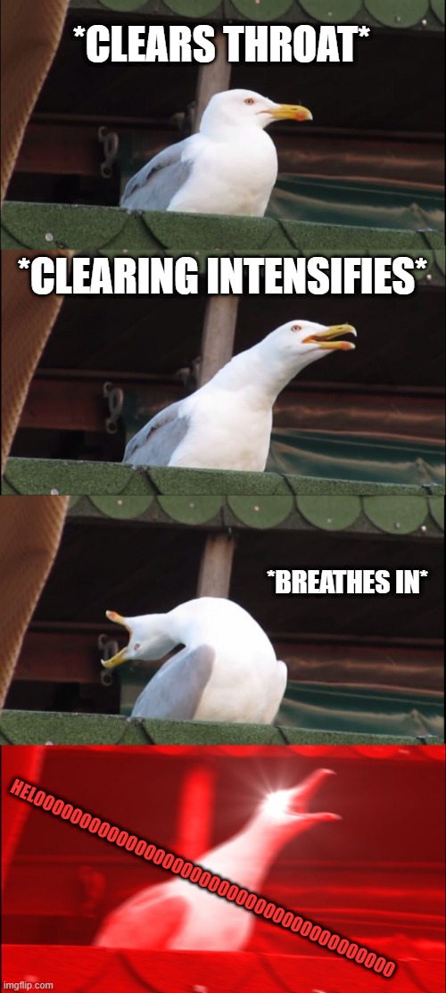 Inhaling Seagull | *CLEARS THROAT*; *CLEARING INTENSIFIES*; *BREATHES IN*; HELOOOOOOOOOOOOOOOOOOOOOOOOOOOOOOOOOOOOOOO | image tagged in memes,inhaling seagull,msmg,mememememe | made w/ Imgflip meme maker