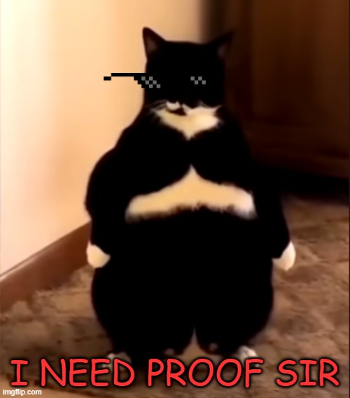 nenja | I NEED PROOF SIR | image tagged in nenja | made w/ Imgflip meme maker