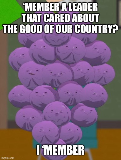 I member' | ‘MEMBER A LEADER THAT CARED ABOUT THE GOOD OF OUR COUNTRY? I ‘MEMBER | image tagged in i member' | made w/ Imgflip meme maker