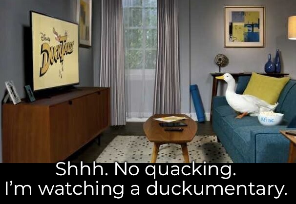 Shhh. No quacking. I’m watching a duckumentary. | made w/ Imgflip meme maker