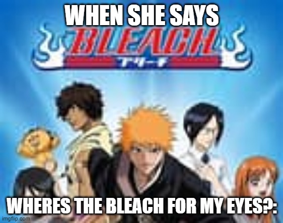 bleach for my eyes | WHEN SHE SAYS; WHERES THE BLEACH FOR MY EYES?: | image tagged in bleach for my eyes | made w/ Imgflip meme maker