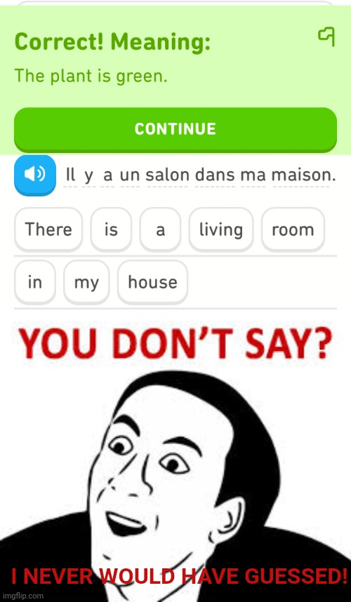 Duo is the master of the obvious | I NEVER WOULD HAVE GUESSED! | image tagged in duolingo,you don't say,steve harvey,ytf u reading this | made w/ Imgflip meme maker