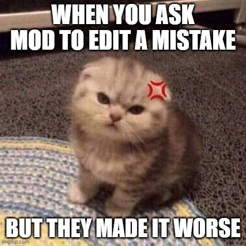 cat annoyed | WHEN YOU ASK MOD TO EDIT A MISTAKE; BUT THEY MADE IT WORSE | image tagged in cat annoyed | made w/ Imgflip meme maker