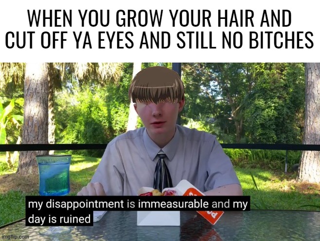 irl hentai protagonists be like | WHEN YOU GROW YOUR HAIR AND CUT OFF YA EYES AND STILL NO BITCHES | image tagged in my dissapointment is immeasurable and my day is ruined,kinda repost,very funny,memes | made w/ Imgflip meme maker