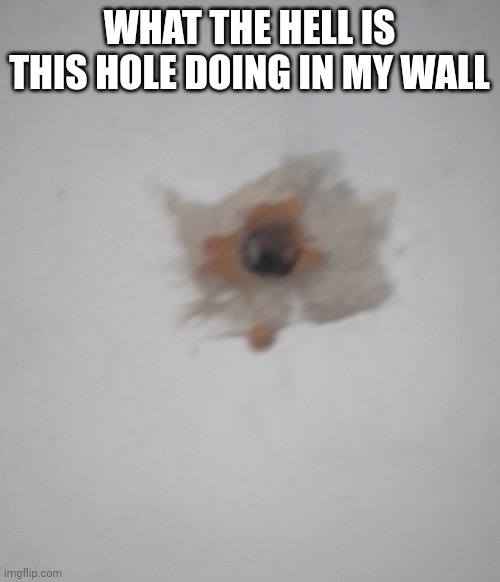 WHAT THE HELL IS THIS HOLE DOING IN MY WALL | made w/ Imgflip meme maker