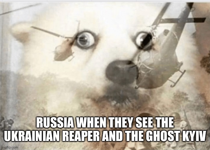 PTSD dog | RUSSIA WHEN THEY SEE THE UKRAINIAN REAPER AND THE GHOST KYIV | image tagged in ptsd dog | made w/ Imgflip meme maker