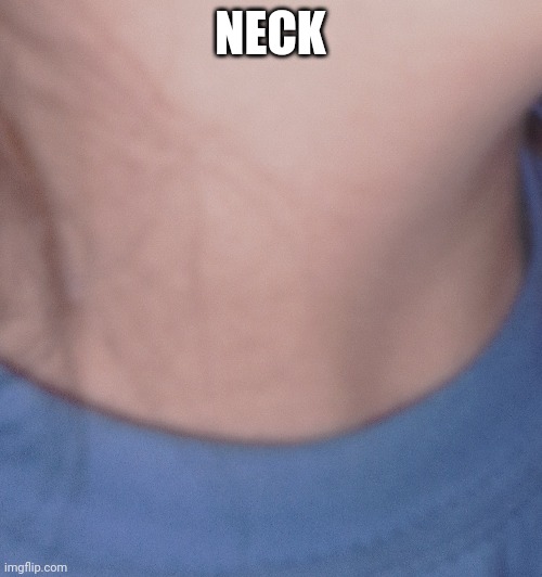 NECK | made w/ Imgflip meme maker