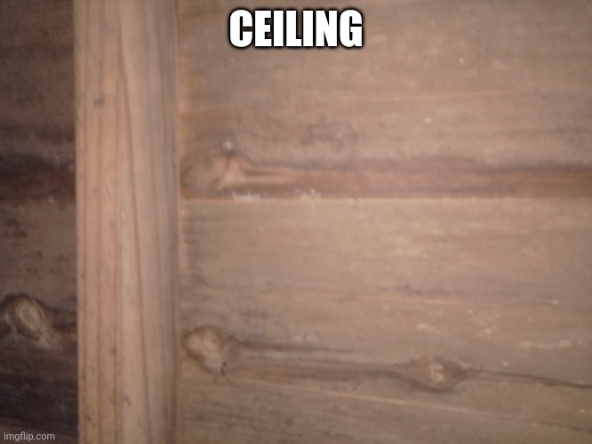 CEILING | made w/ Imgflip meme maker