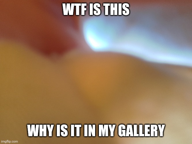 WTF IS THIS; WHY IS IT IN MY GALLERY | made w/ Imgflip meme maker