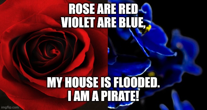 Roses are Red, Violets are Blue. | ROSE ARE RED
VIOLET ARE BLUE, MY HOUSE IS FLOODED.
I AM A PIRATE! | image tagged in roses are red violets are blue | made w/ Imgflip meme maker