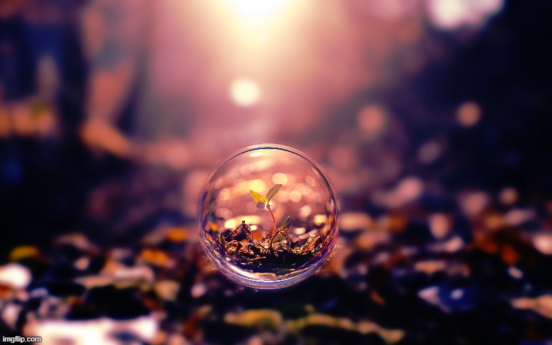 image tagged in awesome | made w/ Imgflip meme maker