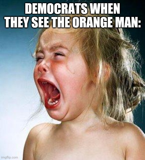 crying girl | DEMOCRATS WHEN THEY SEE THE ORANGE MAN: | image tagged in crying girl | made w/ Imgflip meme maker