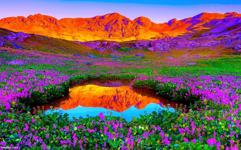 image tagged in awesome | made w/ Imgflip meme maker