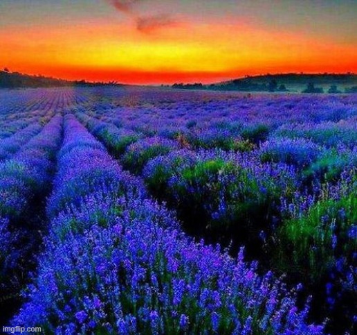 image tagged in awesome | made w/ Imgflip meme maker