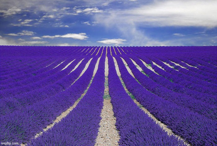 image tagged in awesome | made w/ Imgflip meme maker