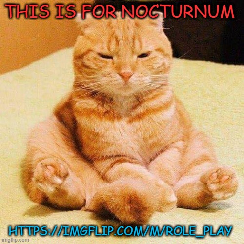 i mean you can get a lot of upvotes if you post there :/ | THIS IS FOR NOCTURNUM; HTTPS://IMGFLIP.COM/M/ROLE_PLAY | image tagged in chonky cat,memes,msmg | made w/ Imgflip meme maker