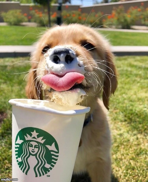 oooh starbucks | made w/ Imgflip meme maker