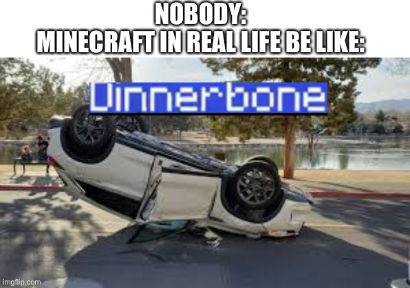 NOBODY:
MINECRAFT IN REAL LIFE BE LIKE: | made w/ Imgflip meme maker
