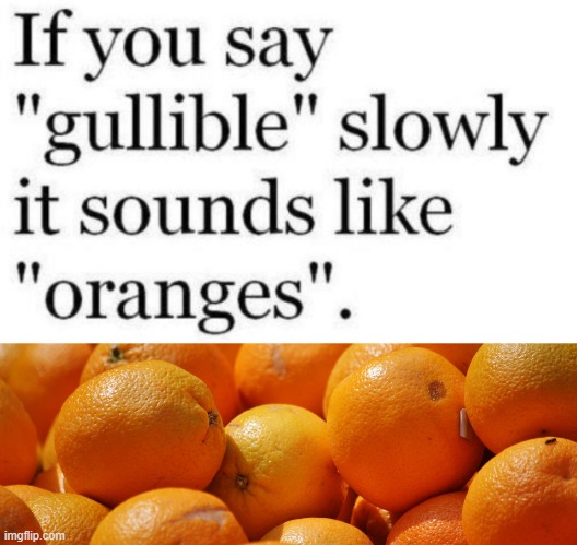 Oranges | image tagged in fruit | made w/ Imgflip meme maker