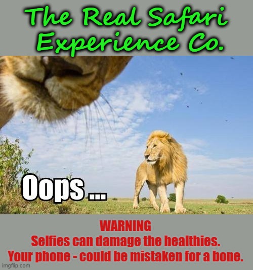 On Safari | The Real Safari
 Experience Co. WARNING
Selfies can damage the healthies.
Your phone - could be mistaken for a bone. | image tagged in lions | made w/ Imgflip meme maker