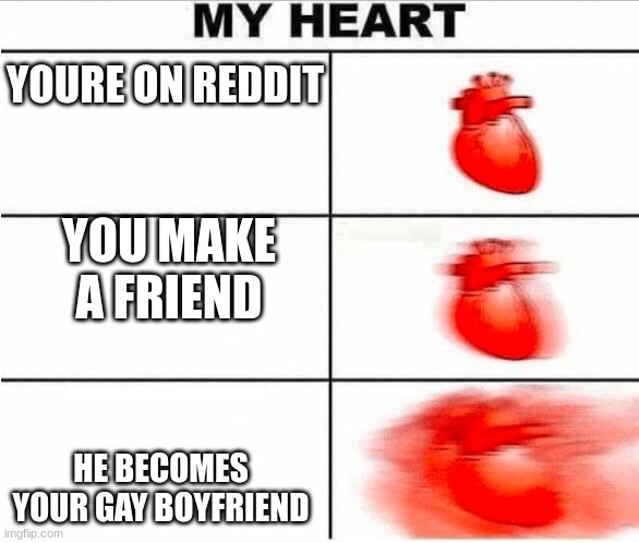 true story | YOURE ON REDDIT; YOU MAKE A FRIEND; HE BECOMES YOUR GAY BOYFRIEND | image tagged in heartbeat | made w/ Imgflip meme maker