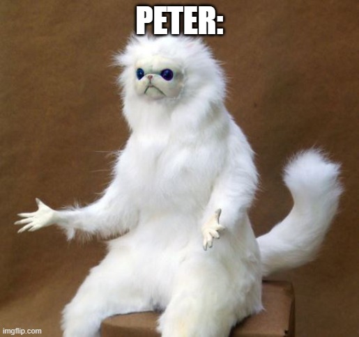 Persian white monkey | PETER: | image tagged in persian white monkey | made w/ Imgflip meme maker