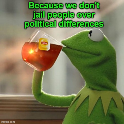 But That's None Of My Business Meme | Because we don't jail people over political differences | image tagged in memes,but that's none of my business,kermit the frog | made w/ Imgflip meme maker