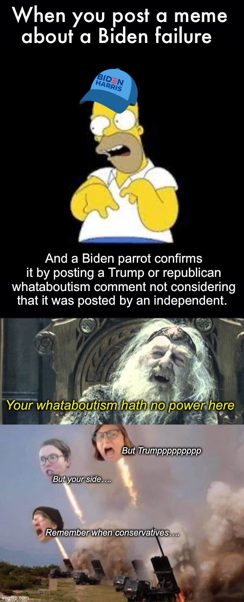 But but but the other side also failed. That’s makes it ok | When you post a meme about a Biden failure; And a Biden parrot confirms it by posting a Trump or republican whataboutism comment not considering that it was posted by an independent. Your whataboutism hath no power here; But Trumppppppppp; But your side…. Remember when conservatives…. | image tagged in look marge,you have no power here yellow caption lowercase,politics lol,memes,derp | made w/ Imgflip meme maker