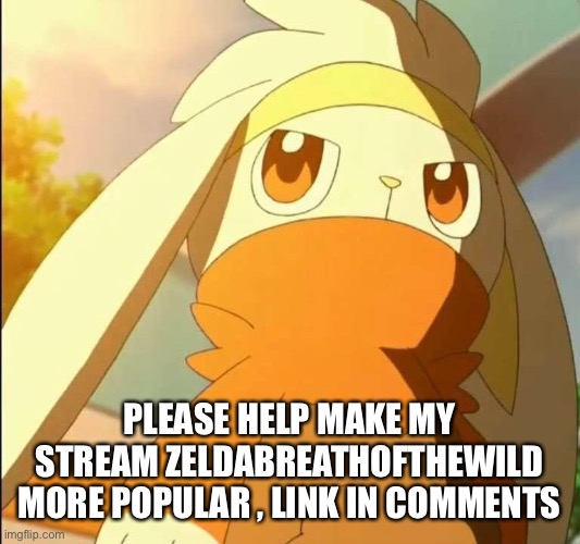 Please :[ | PLEASE HELP MAKE MY STREAM ZELDABREATHOFTHEWILD MORE POPULAR , LINK IN COMMENTS | image tagged in please | made w/ Imgflip meme maker