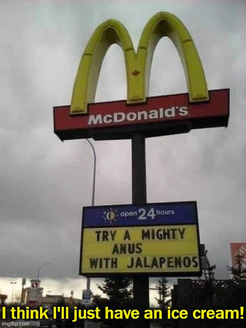 Thanks anyway! | I think I'll just have an ice cream! | image tagged in fun,funny,mcdonald's,well nevermind,lol,on second thought | made w/ Imgflip meme maker
