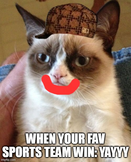 Grumpy Cat Meme | WHEN YOUR FAV SPORTS TEAM WIN: YAYYY | image tagged in memes,grumpy cat | made w/ Imgflip meme maker