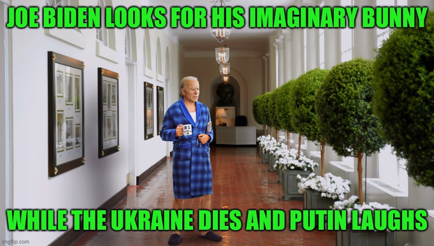Yep | JOE BIDEN LOOKS FOR HIS IMAGINARY BUNNY; WHILE THE UKRAINE DIES AND PUTIN LAUGHS | made w/ Imgflip meme maker