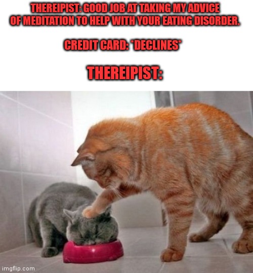 Credit card declines meme | THEREIPIST: GOOD JOB AT TAKING MY ADVICE OF MEDITATION TO HELP WITH YOUR EATING DISORDER. CREDIT CARD: *DECLINES*; THEREIPIST: | image tagged in force feed cat,credit card declines | made w/ Imgflip meme maker