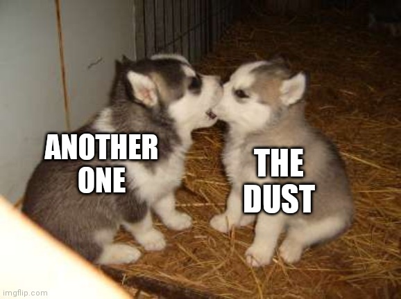 Cute Puppies Meme | ANOTHER ONE; THE DUST | image tagged in memes,cute puppies | made w/ Imgflip meme maker