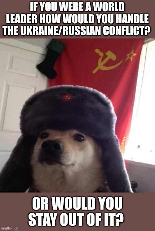 Think Tank Political Question: please follow stream rules. | IF YOU WERE A WORLD LEADER HOW WOULD YOU HANDLE THE UKRAINE/RUSSIAN CONFLICT? OR WOULD YOU STAY OUT OF IT? | image tagged in russian doge | made w/ Imgflip meme maker