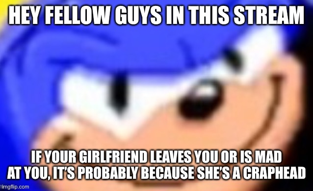 Sonic smile | HEY FELLOW GUYS IN THIS STREAM; IF YOUR GIRLFRIEND LEAVES YOU OR IS MAD AT YOU, IT’S PROBABLY BECAUSE SHE’S A CRAPHEAD | image tagged in sonic smile | made w/ Imgflip meme maker