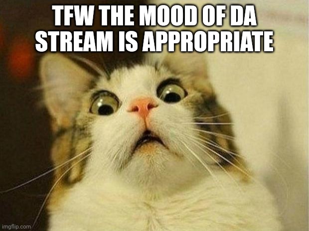 Is this normal? | TFW THE MOOD OF DA STREAM IS APPROPRIATE | image tagged in memes,scared cat | made w/ Imgflip meme maker