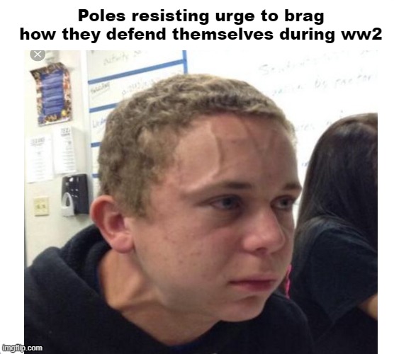 Poles resisting urge to brag how they defend themselves during ww2 | made w/ Imgflip meme maker