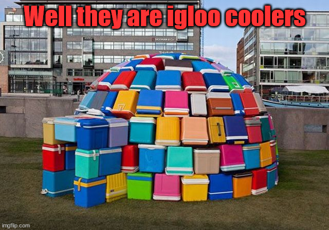 Igloo coolers make a good igloo | Well they are igloo coolers | image tagged in eye roll | made w/ Imgflip meme maker