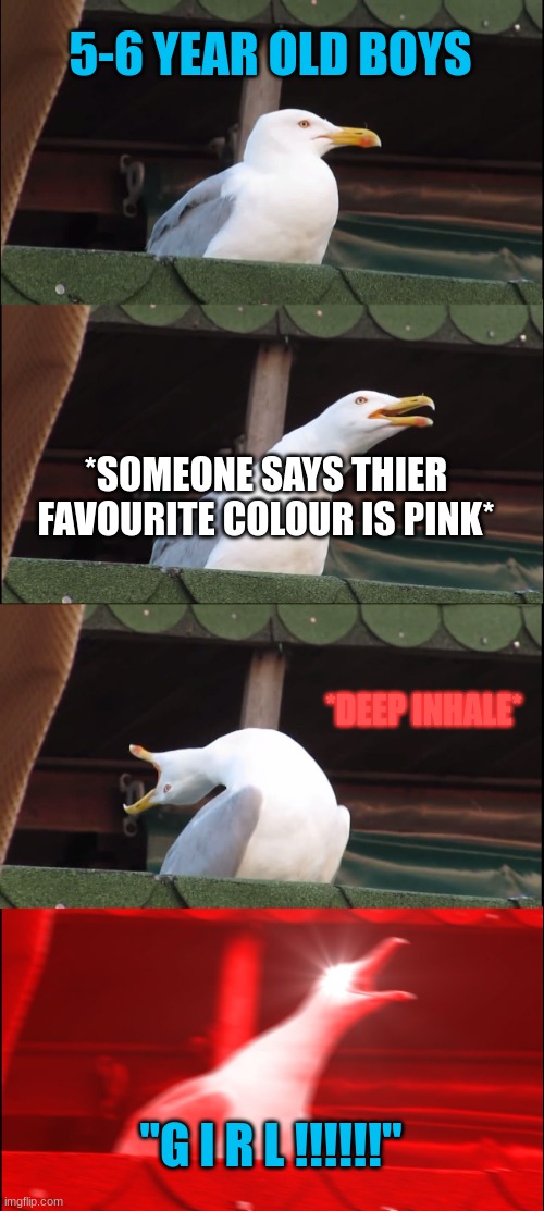 Inhaling Seagull | 5-6 YEAR OLD BOYS; *SOMEONE SAYS THIER FAVOURITE COLOUR IS PINK*; *DEEP INHALE*; "G I R L !!!!!!" | image tagged in memes,inhaling seagull,boys | made w/ Imgflip meme maker