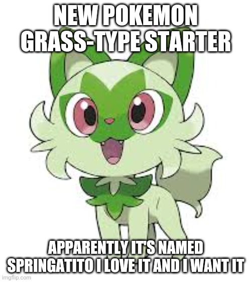 poke-title | NEW POKEMON GRASS-TYPE STARTER; APPARENTLY IT'S NAMED SPRINGATITO I LOVE IT AND I WANT IT | image tagged in pokemon | made w/ Imgflip meme maker