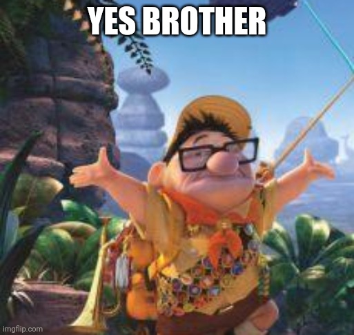 Russell Face swap From up | YES BROTHER | image tagged in russell face swap from up | made w/ Imgflip meme maker