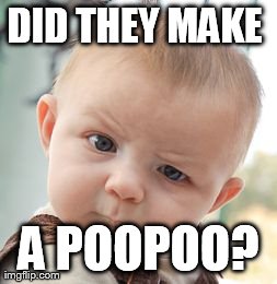 Skeptical Baby Meme | DID THEY MAKE  A POOPOO? | image tagged in memes,skeptical baby | made w/ Imgflip meme maker