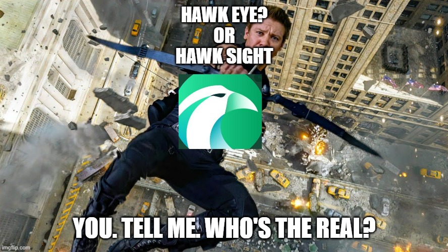 HAWK EYE?

OR

HAWK SIGHT; YOU. TELL ME. WHO'S THE REAL? | made w/ Imgflip meme maker