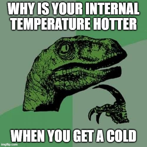 Your brain will go numb thinking about this |  WHY IS YOUR INTERNAL TEMPERATURE HOTTER; WHEN YOU GET A COLD | image tagged in memes,philosoraptor,cold,shower thoughts,deep thoughts,thinking | made w/ Imgflip meme maker
