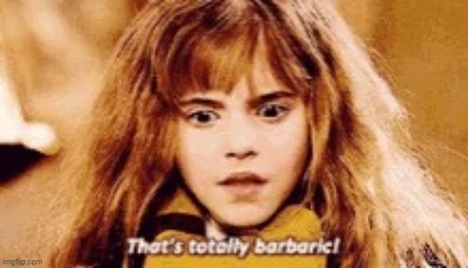 hERmione say thats totally barbaric | image tagged in hermione say thats totally barbaric | made w/ Imgflip meme maker