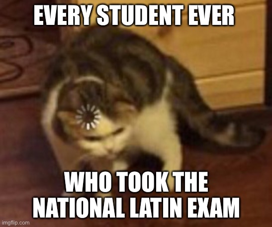This is the one evil thing my Latin teacher has done | EVERY STUDENT EVER; WHO TOOK THE NATIONAL LATIN EXAM | image tagged in loading cat | made w/ Imgflip meme maker